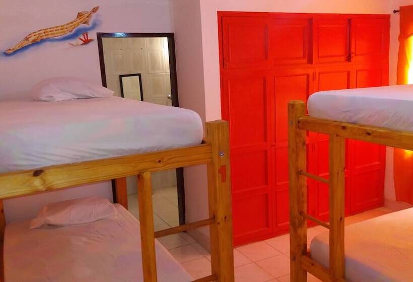 スタンダード4人部屋, Taganga Paradise Hostal Diving