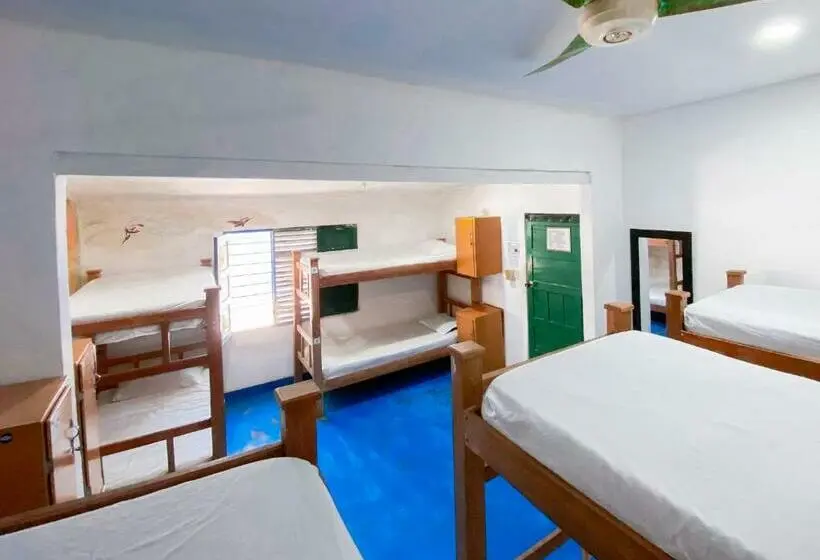 ルームシェアのワンベッド, Hostel Villa Mary