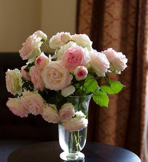 סוויטת ג'וניור, Château De Perreux, The Originals Collection