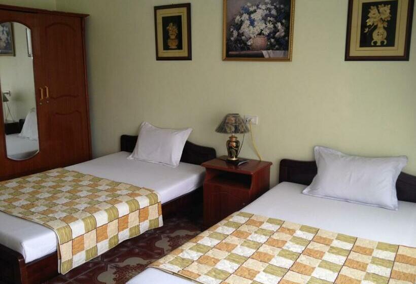 اتاق استاندارد چهار تخته, Hai Trang