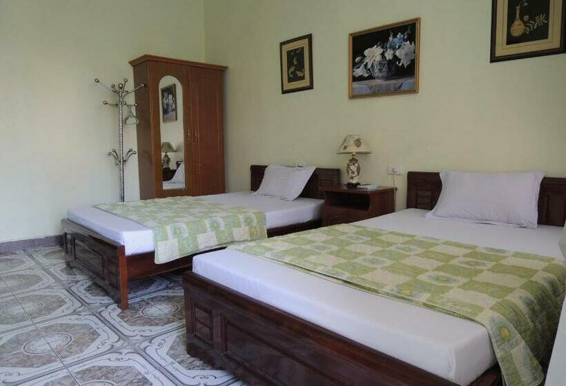 اتاق استاندارد چهار تخته, Hai Trang