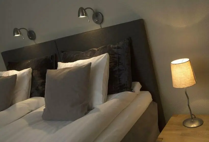 Standard-huone, Park Hotell