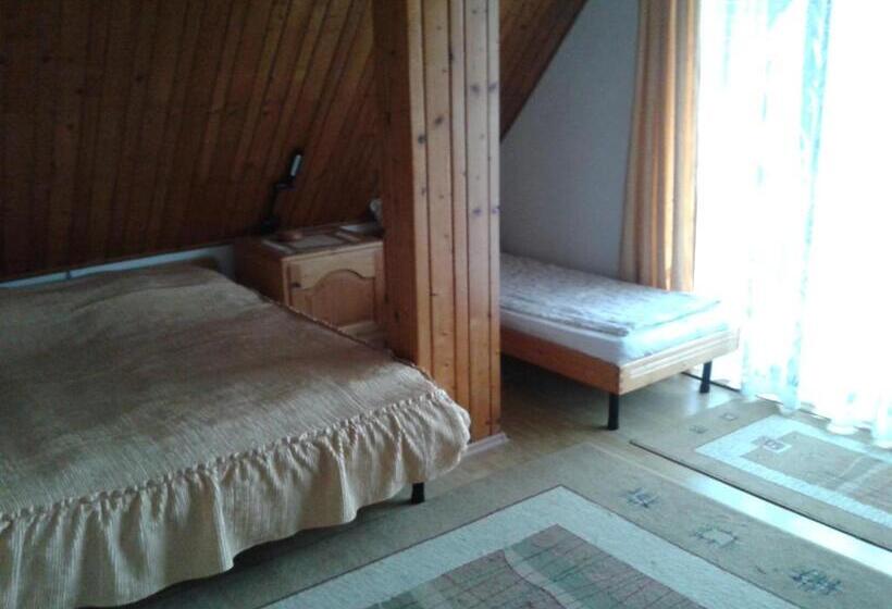 חדר סטנדרט לשלושה, Csaki Vendeghaz