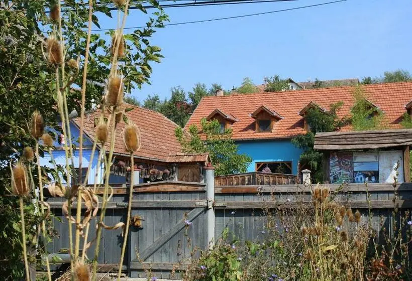 Economy-huone Jaettu Kylpyhuone, Csipkeszeg Bed & Breakfast Sic / Szék Romania