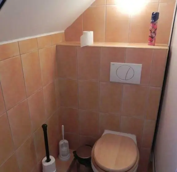 Economy-huone Jaettu Kylpyhuone, Csipkeszeg Bed & Breakfast Sic / Szék Romania