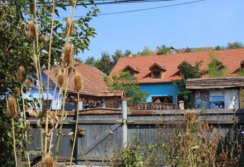 Perhehuone Jaettu Kylpyhuone, Csipkeszeg Bed & Breakfast Sic / Szék Romania