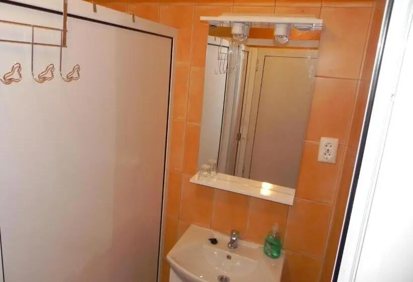 Perhehuone Jaettu Kylpyhuone, Csipkeszeg Bed & Breakfast Sic / Szék Romania
