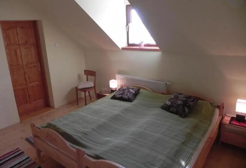 Standard-huone, Csipkeszeg Bed & Breakfast Sic / Szék Romania