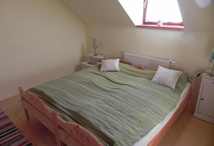 غرفة قياسية, Csipkeszeg Bed & Breakfast Sic / Szék Romania