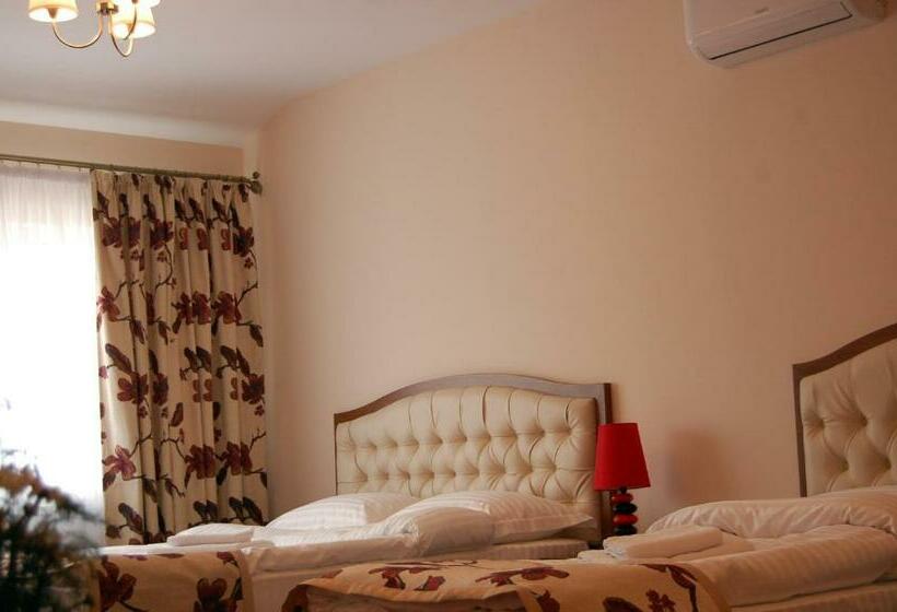 جناح جونيور, Hostel Paltinis