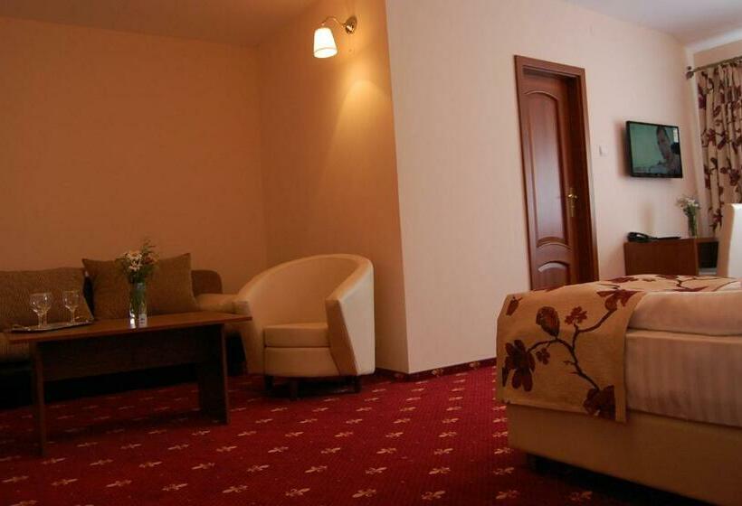 سوییت جونیور, Hostel Paltinis