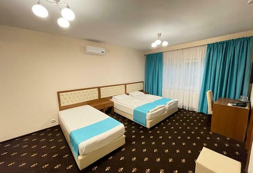 غرفة قياسية ثلاثية, Hostel Paltinis