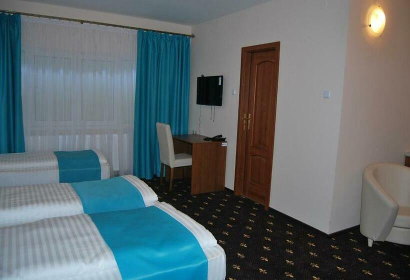 غرفة قياسية ثلاثية, Hostel Paltinis