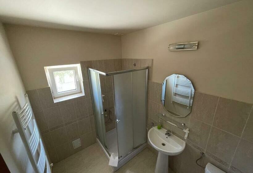 غرفة قياسية ثلاثية, Hostel Paltinis