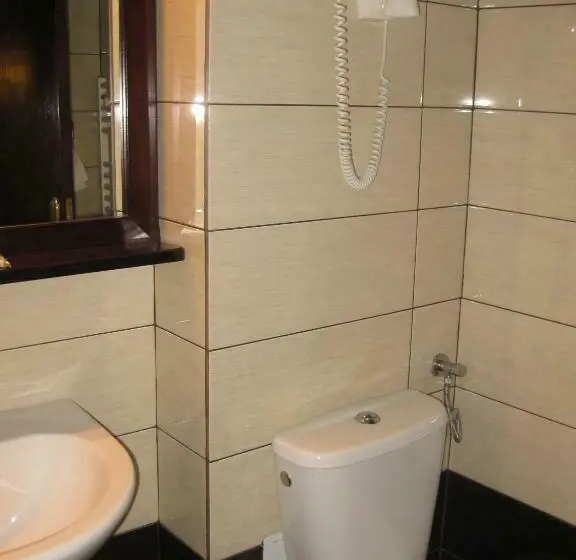 Cameră Standard, Anina