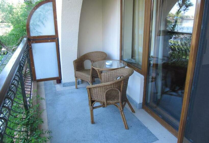 수피리어 룸, Insula