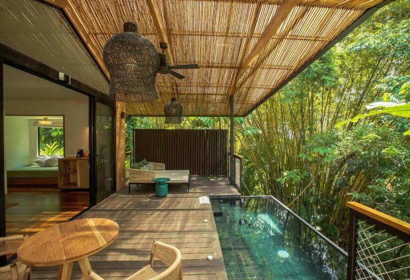 디럭스 룸, Nayara Gardens