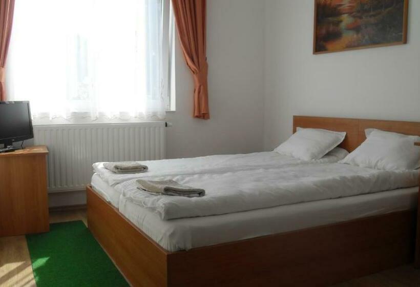 חדר סטנדרט, Pensiunea Trasura   Hinto Panzio