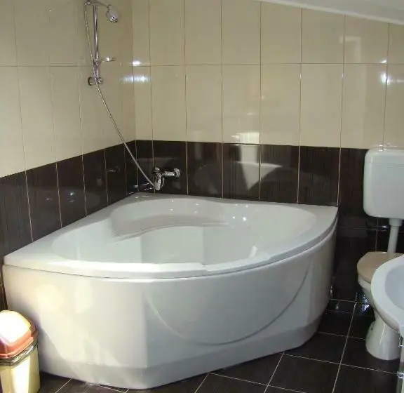 Standard-huone, Vila Carpathia