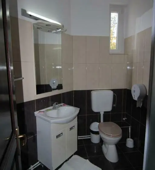 Standard-huone, Vila Carpathia