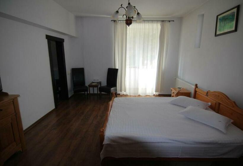 غرفة قياسية, Vila Carpathia