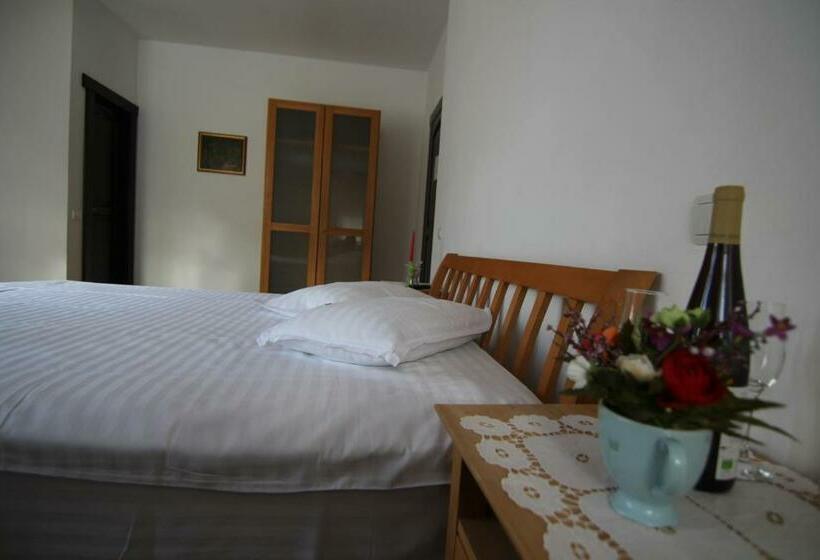标准间, Vila Carpathia