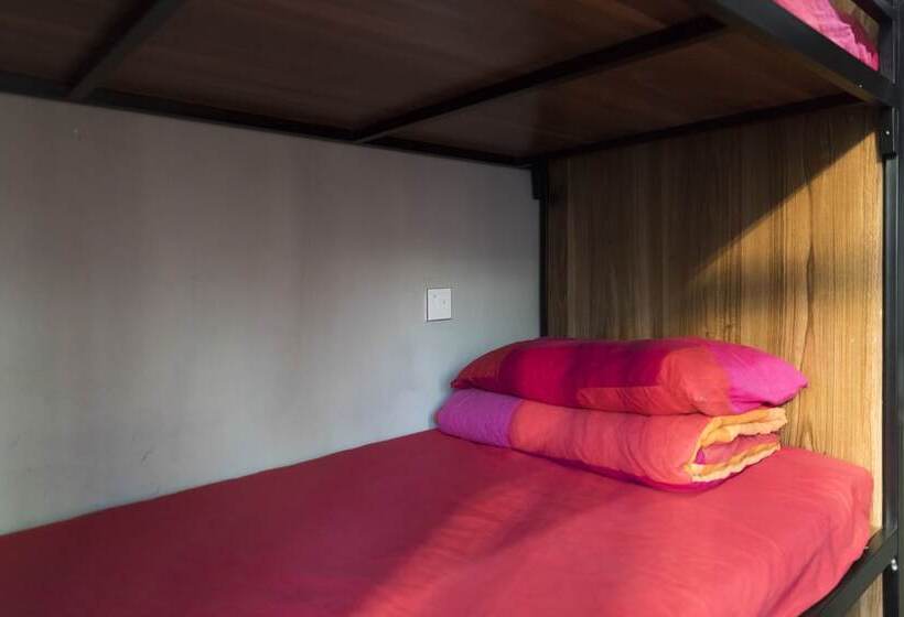 Bed in Shared Room with Shared Bathroom, Check Inn Hk