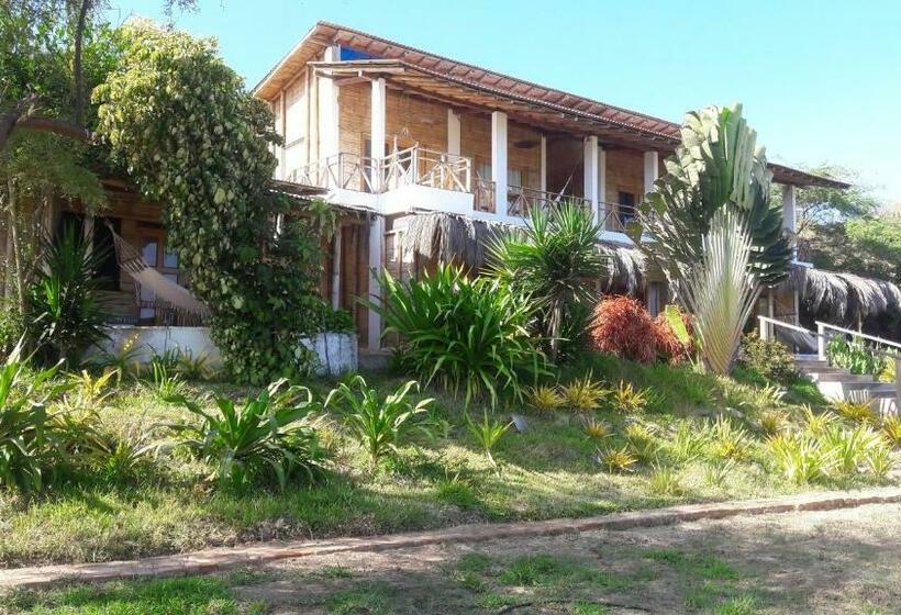 اتاق استاندارد, El Delfin