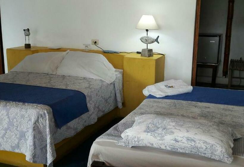 اتاق استاندارد, El Delfin