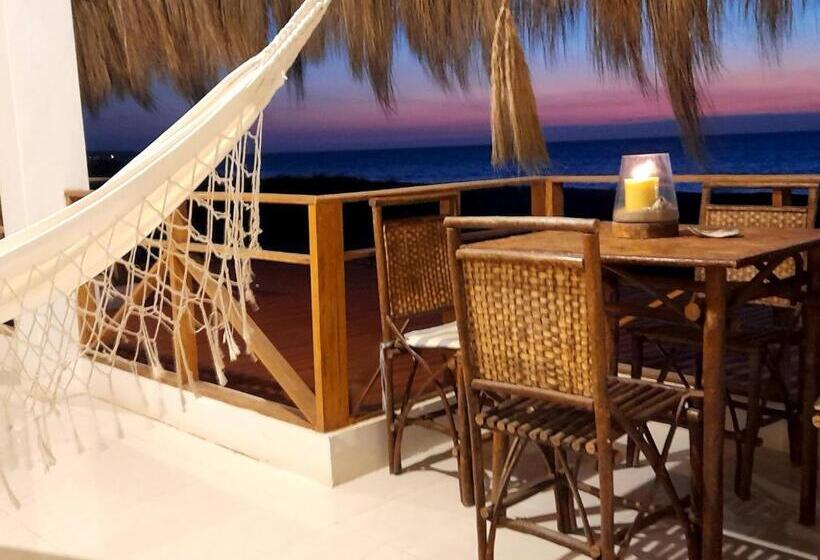 اتاق استاندارد, El Delfin