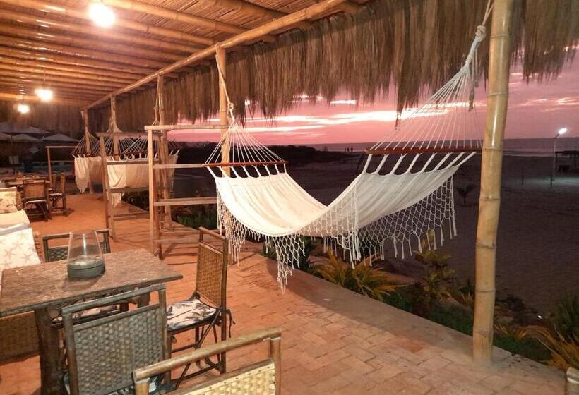 سوییت خانوادگی, El Delfin