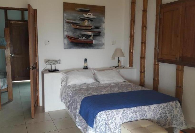 بانگلوی سوپریور, El Delfin