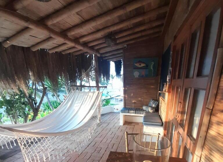 بانگلوی سوپریور, El Delfin