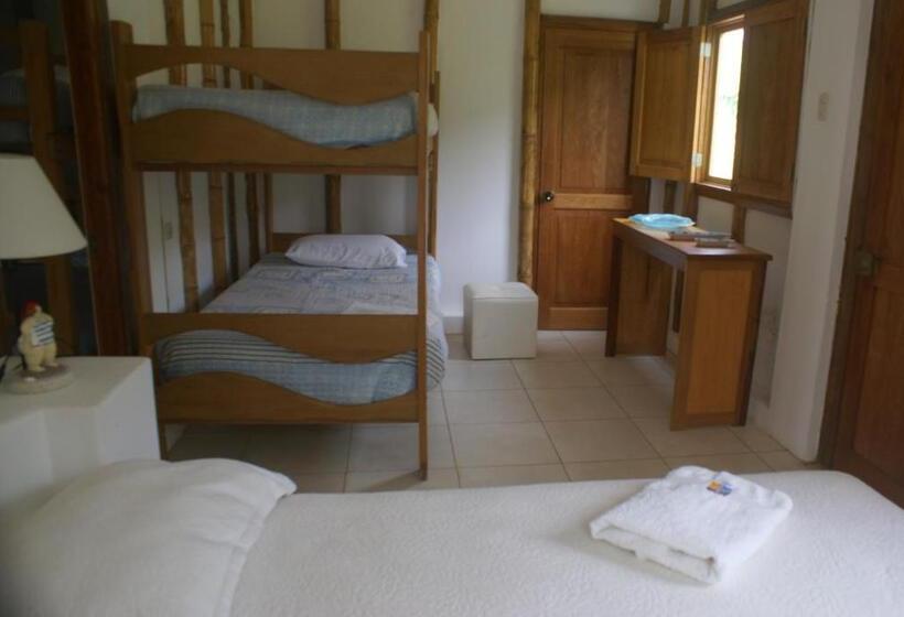 بانگلوی سوپریور, El Delfin