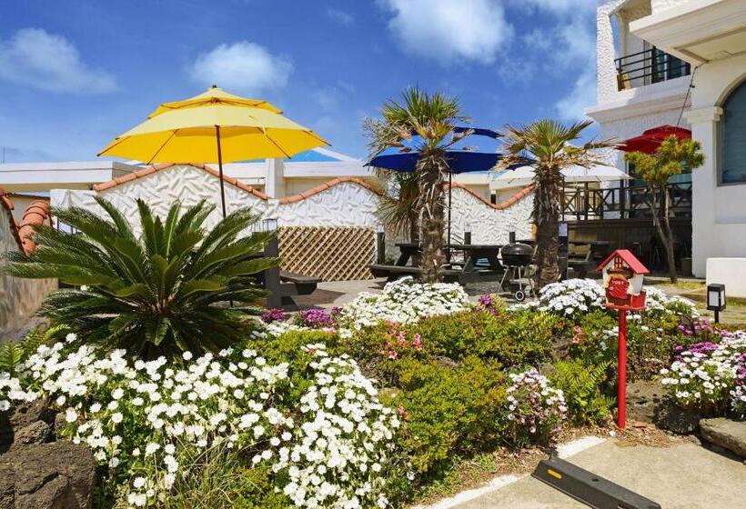 Familjesvit, Pension Haneul Tari