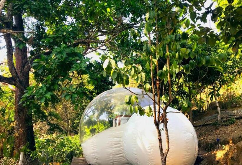 Standard Tent, Sweet Harmony Hotel Boutique By Xarm Hotels