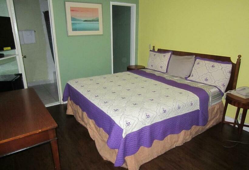 غرفة قياسية سرير كينج, Travel Eagle Inn Motel