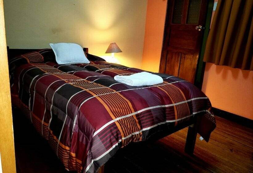 غرفة قياسية فردية, La Nuit Home