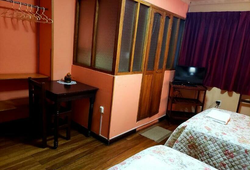 Quarto Estandar, La Nuit Home