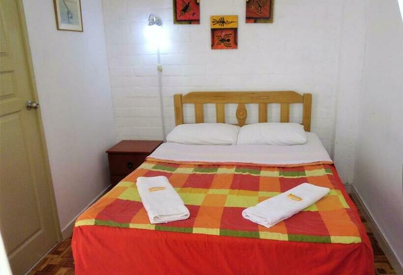 StandaardKamer, Icthus Paracas