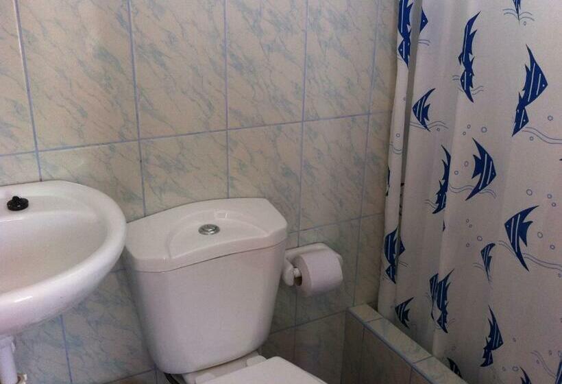 StandaardKamer, Icthus Paracas