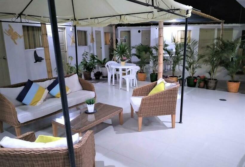 StandaardKamer, Icthus Paracas