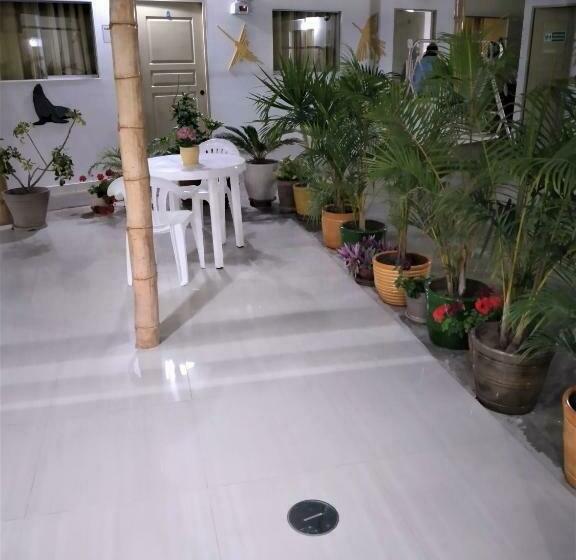 Superior Kamer, Icthus Paracas