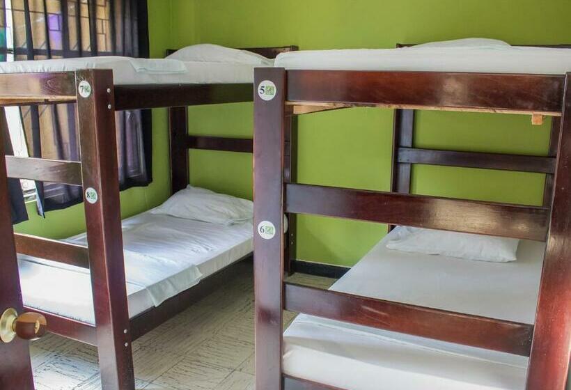 מיטה בחדר משותף, Hostel Nirvana San Gil