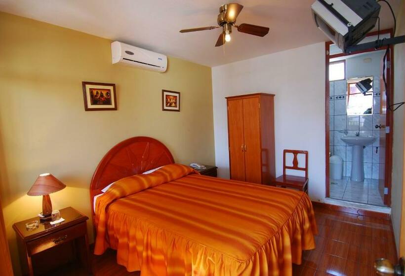 スタンダードシングルルーム, Alegria Nasca