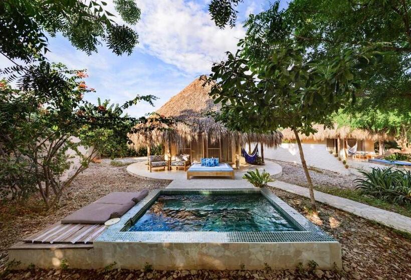 デラックスバンガロー, Blue Apple Beach