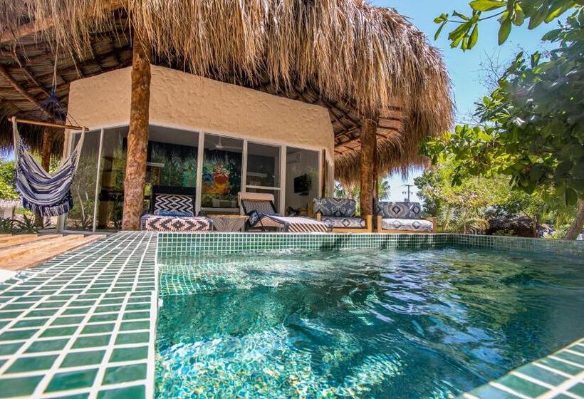 デラックスバンガロー, Blue Apple Beach