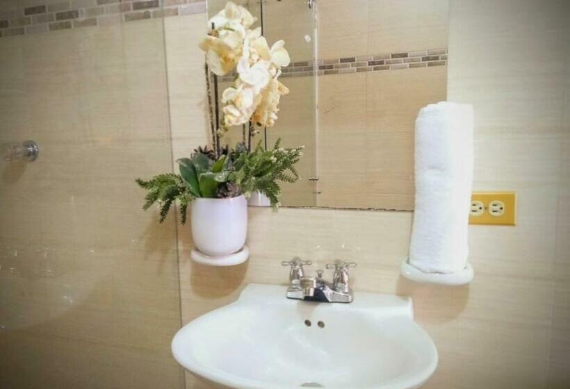 베이직 3인 룸, El Atajo