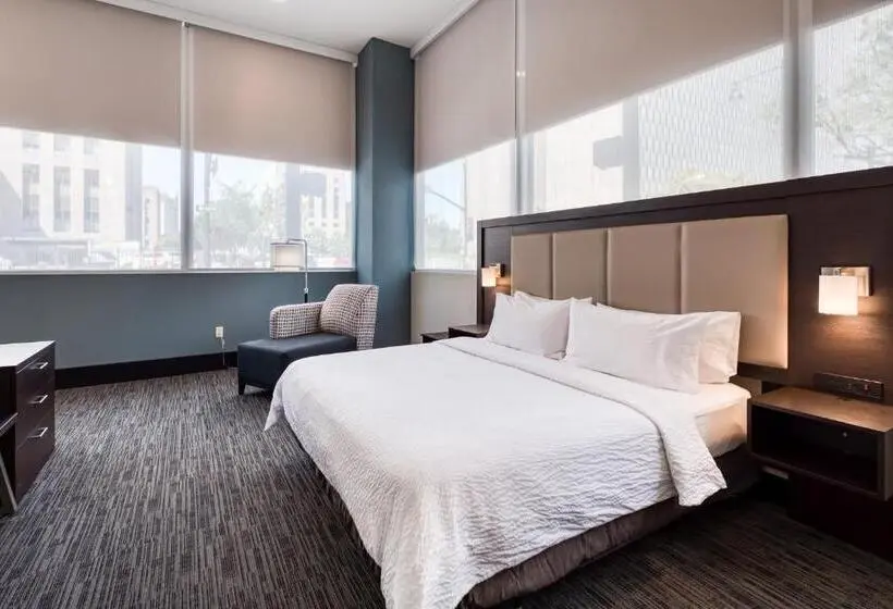 キングサイズベッドのスタンダードルーム, Holiday Inn Express   Kansas City Downtown, An Ihg