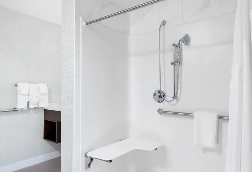 身障者適用キングサイズベッドルーム, Holiday Inn Express   Kansas City Downtown, An Ihg